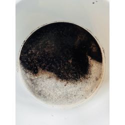 【和歌山市六十谷】“いつもと違う”空気を体感！クマッペのエアコンクリーニングの画像3