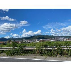 恐るべし夏の交通安全月間🚨の画像1