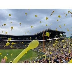 🌺阪神vs中日　甲子園へ9/28🌺の画像2