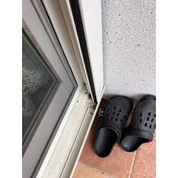 佐賀県　鳥栖市　コウモリの画像1