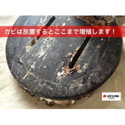 カビはここまで増える…エアコン内部にも注意の画像1