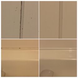 浴室クリーニングでスッキリ気持ちいいバスタイム✨の画像2