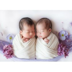 ブランコの画像3