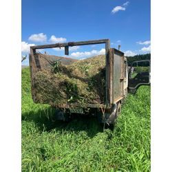 連投すみません。の画像1