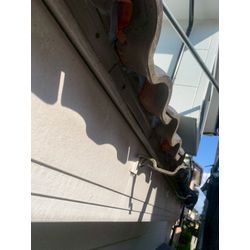 コウモリ被害の最盛期です！の画像1