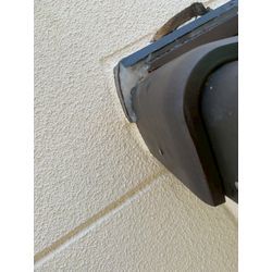 コウモリ被害の最盛期です！の画像2