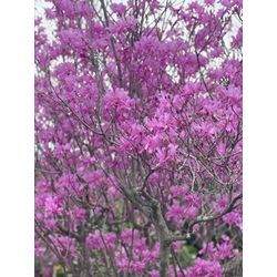 今年も一安心です！の画像2