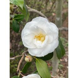 今年も一安心です！の画像1