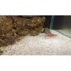 介護付き老人ホームも 定期ご利用頂いています。の画像2