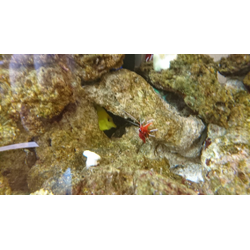 介護付き老人ホームも 定期ご利用頂いています。の画像1