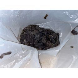 杉並区でドラム式洗濯機の詰まり除去に行ってきました！の画像2