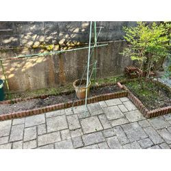だんだん暑くなってきましたね💦の画像2