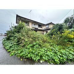 伐採除草作業をさせて頂きました！の画像1