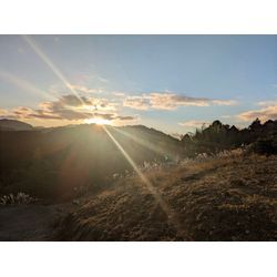 明けましておめでとうございますの画像1