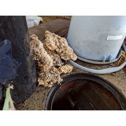 【大阪市生野区｜個人宅の台所排水詰まりを高圧洗浄で解消】の画像3