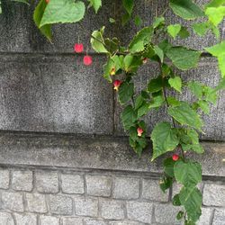 秋9月　今年もあと3ヶ月....！！！！衝撃！の画像3