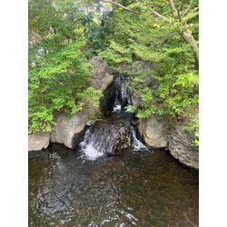 秋9月　今年もあと3ヶ月....！！！！衝撃！の画像2