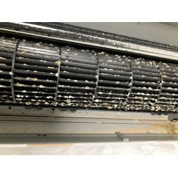 【完全分解洗浄レポート②】ダイキン F28UTES-W｜内部のカビ汚れを徹底クリーニング！の画像2