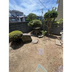 イラガ注意の画像2