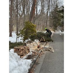 分かっていても分かっていなくても、人間は問題なく生活していけるの画像1