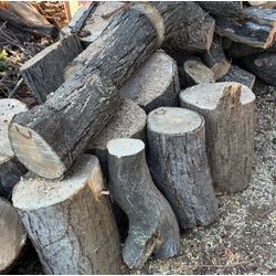 狭山市で枯れたモミジを伐採｜キノコが出た木は危険サイン｜庭じまい・伐採事例の画像2