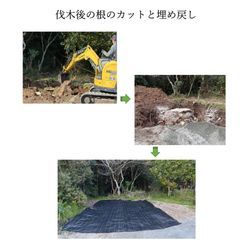 伐木後の根のカットと埋め戻しの画像1