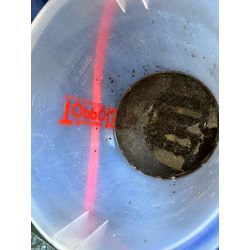 🐈猫の保護センターの画像3