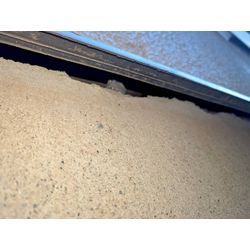 ☆埼玉県新座市からネズミ駆除のご依頼の画像2