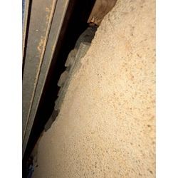 ☆埼玉県新座市からネズミ駆除のご依頼の画像1