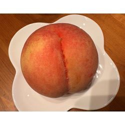 暑さに負けない体質改善の画像1