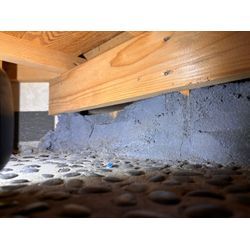 【急増】横浜市ネズミ駆除の画像1