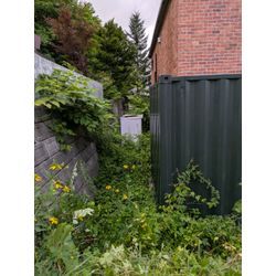 ハードボイルド草抜き🌱の画像2