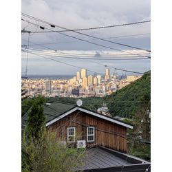 ハードボイルド草抜き🌱の画像1