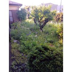 神奈川県横浜市泉区にての画像1