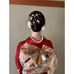 とびきり素敵な二十歳の記念撮影📸の画像3