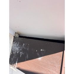 コウモリ　対策　追い出し　捕獲　熊本県合志市の画像3