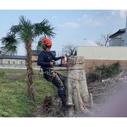 【久喜市】高木伐採・枯れ木の伐採を行いました｜施工事例の画像3