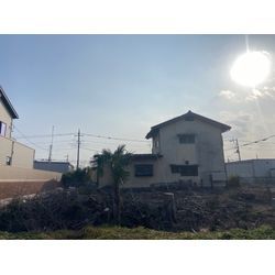 【久喜市】高木伐採・枯れ木の伐採を行いました｜施工事例の画像2