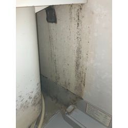 【見えない汚れ】の画像1