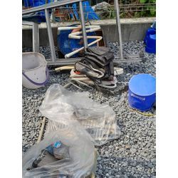 お家の裏に積もっていませんか？草ぼうぼうや不要なものが、蚊の発生源にもなっていました！の画像3