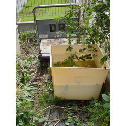 お家の裏に積もっていませんか？草ぼうぼうや不要なものが、蚊の発生源にもなっていました！の画像1