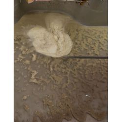 キッチン詰まりスッキリ解消😊の画像2