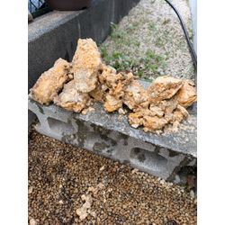 今年も宜しくお願いしますの画像3