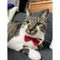 安い価格の理由の画像1