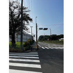 朝ランの画像1