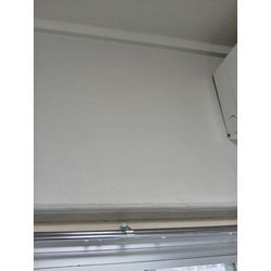 壁紙クロスカビ除去クリーニングの画像2