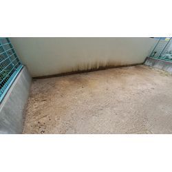 急遽　伐採抜根に☀️の画像3