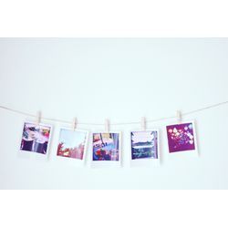 思い出の写真、どう整理する？の画像1