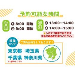 シロアリ専門店　Ei-Bo ①の画像3