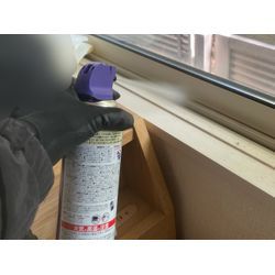 クモ対策の画像1